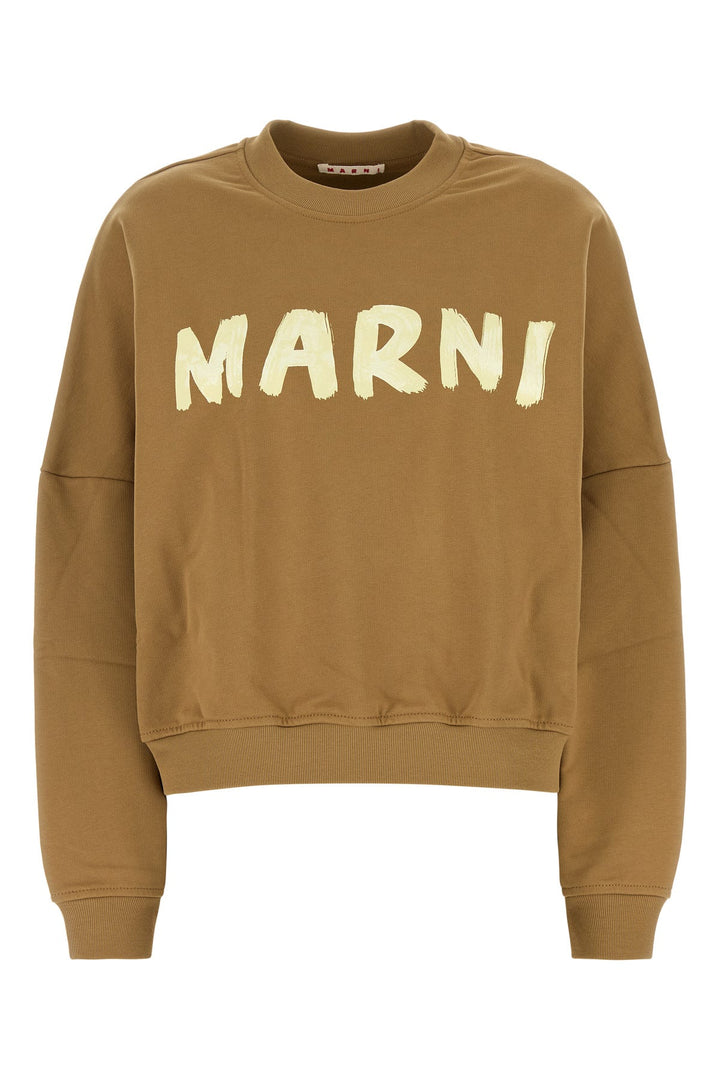 Biscuit cotton oversize sweatshirt