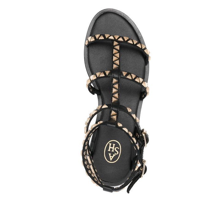 Ash Shoes - Black | Wanan Luxury